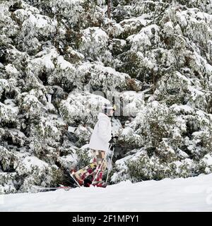 Seitenansicht des Mannes Skifahrer in Skianzug und Helm mit Skistöcken, während zu Fuß auf verschneiten Pfad in Nadelwald. Konzept der Wintersport-Aktivitäten. Stockfoto