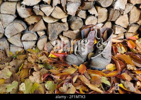 Die alten Arbeitsstiefel im Holzschuppen, auf dem Bett der herbstlichen Blätter. Stockfoto