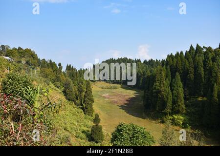 Getrockneter See umgeben von Pinien mit hellem blauen Himmel In Sittong Darjeeling Stockfoto