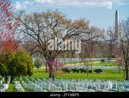 Arlington, Virginia, USA, April 2018: US Army Marine Begräbnis Sarg auf dem Pferdewagen Stockfoto