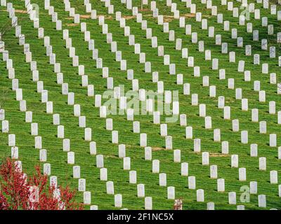 Arlington, Virginia, USA ca. April 2018: Grabsteine auf dem Nationalfriedhof von Arlington Stockfoto