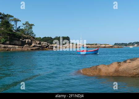 Kleines buntes Holzboot verlässt den Hafen von Ploumanach Die Nordküste der Bretagne Stockfoto