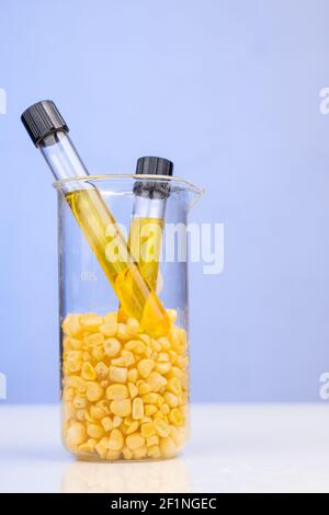 Ethanol Biokraftstoff aus Maislabyrinth mit Bechergrüben gewonnen Im Labor auf blauem Hintergrund Stockfoto
