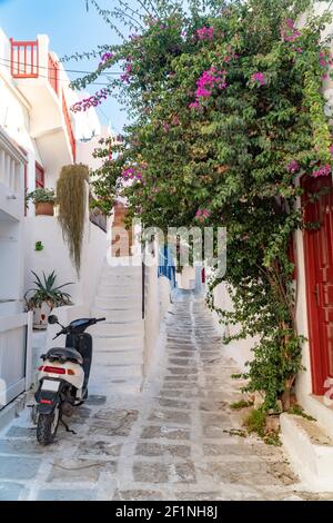 Gewaschene weiße schmale Straße, umgeben von Blumen und bunten Fenstern und Türen mit einem geparkten Motorrad auf Mykonos, griechische Insel Stockfoto