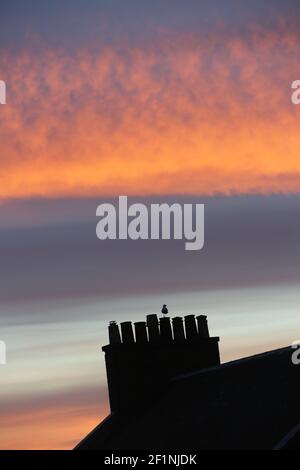 Ayr, Ayrshire, Schottland, Großbritannien. 25. Juni 2018. Schornsteintöpfe, die gegen einen Sonnenuntergang silhouetted, genommen von einem Nachbarhaus Stockfoto