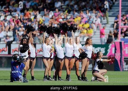 Stade Francais Cheerleaders während der französischen Meisterschaft Top 14 Rugby Union Spiel zwischen Stade Francais Paris und ASM Clermont Auvergne am 3. September 2016 im Jean Bouin Stadion in Paris, Frankreich - Foto Stephane Allaman / DPPI Stockfoto