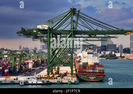 SINGAPUR, SINGAPUR - 16. Apr 2019: Foto aufgenommen beim Passieren des Containerhafens Singapur mit einem Kreuzfahrtschiff. Zeigt Ladekrane mit aufgeruderter Beladung an Stockfoto