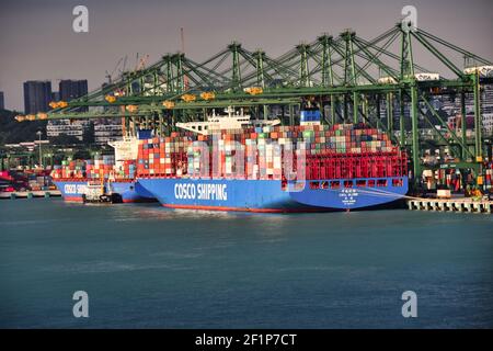 SINGAPUR, SINGAPUR - 16. Apr 2019: Bild zeigt einen riesigen COSCO-CONTAINERSCHIFF im Containerhafen Singapur. Foto, das beim Vorbeifahren von w aufgenommen wurde Stockfoto