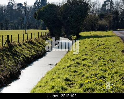 Reen in Nash, Newport, South Wales, Großbritannien Stockfoto