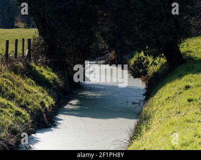 Reen in Nash, Newport, South Wales, Großbritannien Stockfoto