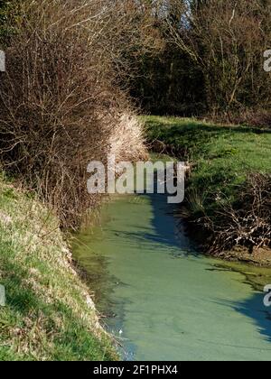 Reen in Nash, Newport, South Wales, Großbritannien Stockfoto