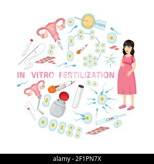 In-vitro-Fertilisation Cartoon-Konzept mit schwangeren Frauen Zellen weiblich Reproduktionssystem und medizinische Werkzeuge Vektor-Illustration Stock Vektor