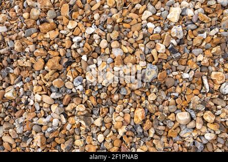 Verschiedene farbige Kieselsteine am Strand Stockfoto