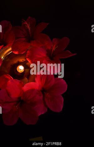 Rote Blumen und Lampe, Holi Feier Szene Stockfoto