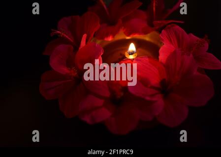 Rote Blumen und Lampe, Holi Feier Szene Stockfoto