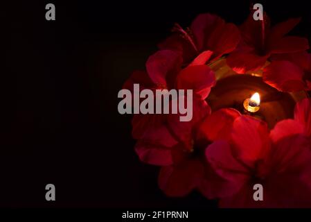 Rote Blumen und Lampe, Holi Feier Szene Stockfoto