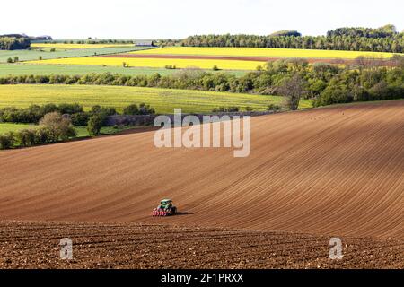 Eine Traktor- und Saatbohrung auf Cotswold-Brash-Boden in der Nähe des Cotswold-Dorfes Humpen, Gloucestershire UK Stockfoto