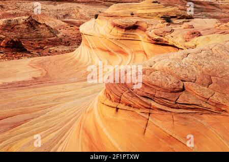 2002 2002 Arizona The Wave - die zweite Welle Wirbel und Muster von Sandsteinflossen in Kojote-Butten nördlich bekannt als die zweite Welle vermillion Cliffs Wildnis Arizona utah usa. Die Formation liegt an den Hängen der Coyote Buttes in der Paria Canyon-Vermilion Cliffs Wilderness des Colorado Plateaus. Das Gebiet wird vom Bureau of Land Management (BLM) im Grand Staircase-Escalante National Monument Besucherzentrum in Kanab, Utah, verwaltet. Der weiche Sandstein ist zerbrechlich, vor allem die Rippen und Rippen der Welle. Arizona, USA, Vereinigte Staaten von Amerika Stockfoto