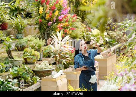 Ziemlich weibliche Baumschule Gartenarbeiter zu Fuß rund mit digitalen Tablet Und Qualitätsprüfung an Anlagen Stockfoto
