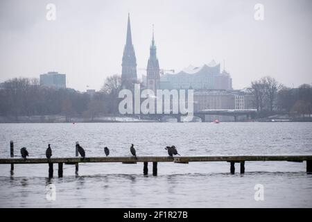 Hamburg, Deutschland. März 2021, 09th. Kormorane (Phalacrocoracidae) sitzen auf einer Fußgängerbrücke auf der Außenalster vor dem Stadtpanorama mit dem Rathaus, der ehemaligen Hauptkirche St. Nikolai und der Elbphilharmonie. Quelle: Jonas Walzberg/dpa/Alamy Live News Stockfoto