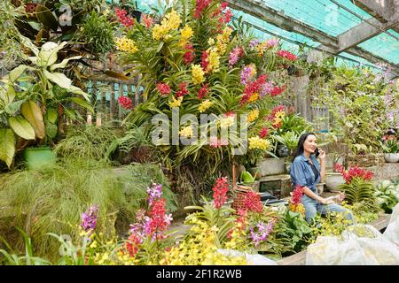 Ziemlich glücklich junge vietnamesische Gewächshaus Besitzer im Gespräch mit Kunden Bestellung Pflanzen und Blumen per Telefon Stockfoto