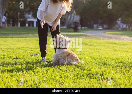 Ein Mädchen spielt mit ihrem Hund in einem Buenos Aires Stadtpark Stockfoto