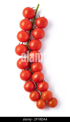 Tomaten Kirschzweig auf weißem Hintergrund Stockfoto
