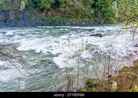 Mitten in Stromschnellen am Snoqualmie River ragt ein Felsen hoch. Stockfoto