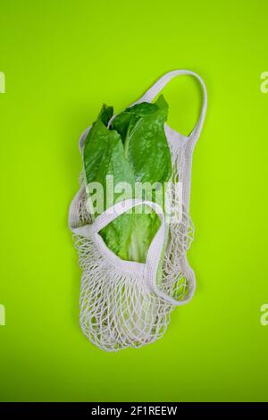 romainensalat im Saitenbeutel auf grünem Hintergrund Stockfoto