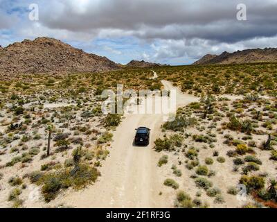 Luftaufnahme von 4x4 Auto fahren Off Road in der Wüste. Joshua Tree Stockfoto