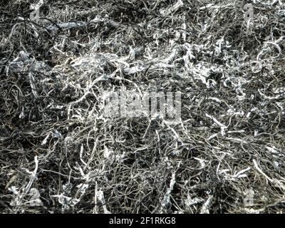 Hintergrund aus der Asche des verbrannten Grases. Pflanze Asche auf das Feld, nachdem das Feuer verbrannt wurde. Abstrakte Hintergrundtextur Stockfoto