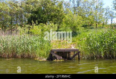 Lange alte hölzerne Pier und schöner See. Leer auf kleinem Landsee. Des Sommers. Platz für Text und Angeln. Blick vom See Stockfoto