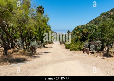 Wrigley Memorial und Botanischer Garten auf Santa Catalina Island Stockfoto