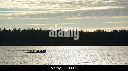 Hintergrundbeleuchtetes kleines Boot, das in Tofino Hafen, Tonquin Strand kommt Stockfoto