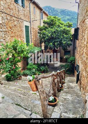 Typische Gasse in Malaga, Spanien, mit Steinfassaden mit bunten Blumen geschmückt. Stockfoto