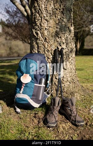 Rucksack mit Muschelsymbol des Camino de Santiago, Trekkingstiefeln und Stöcken, die auf einem Baum lehnen. Pilgerfahrt nach Santiago de Compostela Stockfoto