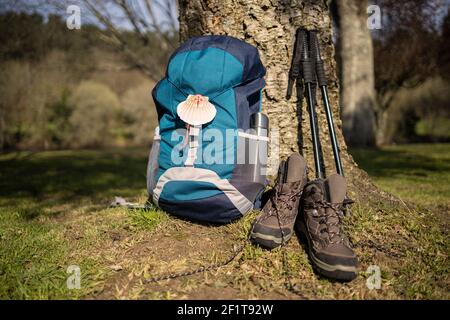 Rucksack mit Muschelsymbol des Camino de Santiago, Trekkingstiefeln und Stöcken, die auf einem Baum lehnen. Pilgerfahrt nach Santiago de Compostela Stockfoto