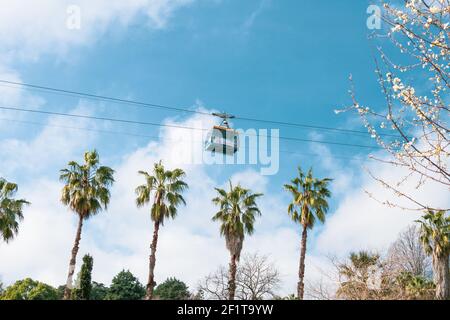 Standseilbahn-Kabine auf der Seilbahn auf einem Hintergrund der blaue Himmel, mit Palmen und blühenden Obstbaum Stockfoto