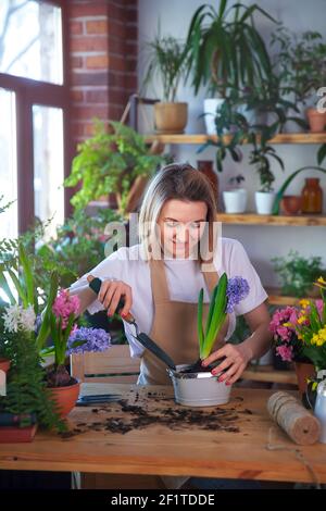 Frau Gärtnerin kümmert sich um Pflanzen und Hausblumen, trägt Schürze. Stockfoto