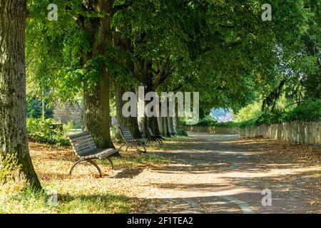 Ein schöner Park mit Schotterweg und grünen Bäumen und Einladende Parkbänke Stockfoto
