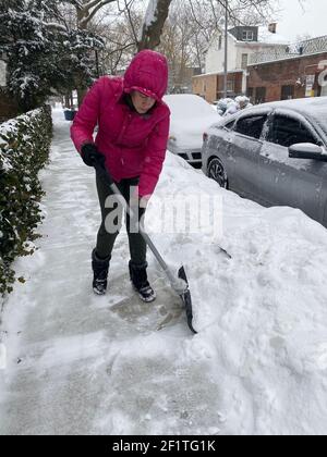 Die junge Frau schaufelt Schnee vom Bürgersteig entlang ihres Hauses im Stadtteil Kensington in Brooklyn, New York. In New York Hausbesitzer sind verantwortlich für die Reinigung von öffentlichen Gehwegen neben ihrem Eigentum. Stockfoto