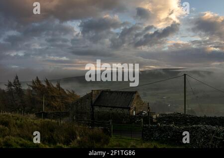 Eine alte Steinscheune in einer Hochland-Farmlandschaft in den North Pennines, mit Steinmauern vor und Konfiern und sonnenbeschienenen Wolken dahinter Stockfoto