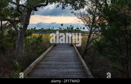 Boardwalk über den Palencia Salt Marsh auf dem Tolomato River in St. Augustine, Florida bei Sonnenaufgang Stockfoto