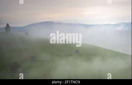 Nebel über den grünen Hügeln. Nebliger Morgen Stockfoto