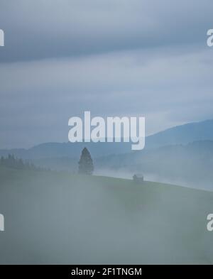 Nebliger Morgen über Green Hills, Herbst Laub, Berge, Bucovina Länder, schöne Länder der Bucovina Stockfoto