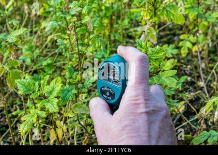 Frau testet den pH-Wert ihrer Gartenerde mit einem Messgerät, um Säure, Feuchtigkeitsgehalt und Lichtstärke zu zeigen. Stockfoto