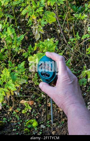 Frau testet den pH-Wert ihrer Gartenerde mit einem Messgerät, um Säure, Feuchtigkeitsgehalt und Lichtstärke zu zeigen. Stockfoto