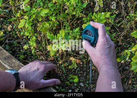 Frau testet den pH-Wert ihrer Gartenerde mit einem Messgerät, um Säure, Feuchtigkeitsgehalt und Lichtstärke zu zeigen. Stockfoto