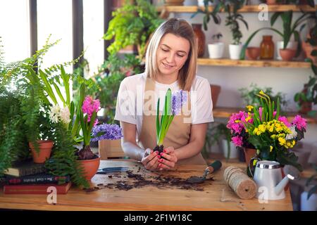 Frau Gärtnerin kümmert sich um Pflanzen und Hausblumen, trägt Schürze. Stockfoto