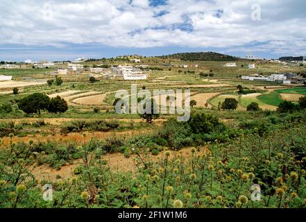 Kultivierte Felder auf Bauernhöfen und Privathäusern in der Ferne in der Nähe von Al Habalah, Asir Region, Königreich Saudi-Arabien Stockfoto